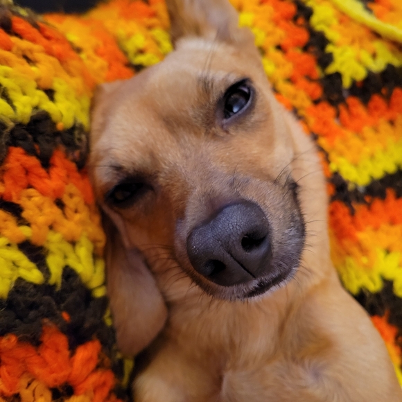 Meet your Posher, Claire - Picture 3 of 10